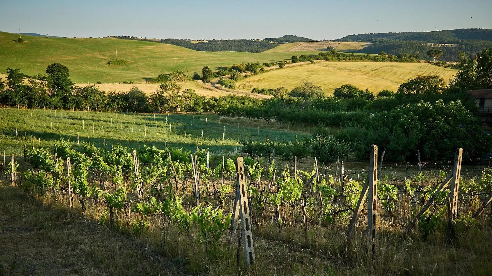 Agriturismo I Roseti Montepulciano Stazione