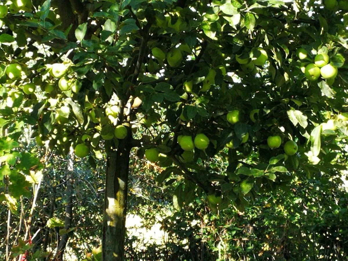 Agriturismo I Roseti Montepulciano Stazione 0*,  Olaszország