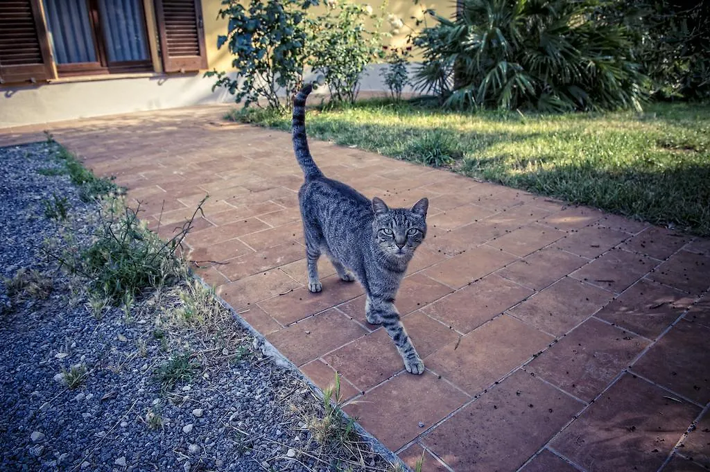 Agriturismo I Roseti Montepulciano Stazione