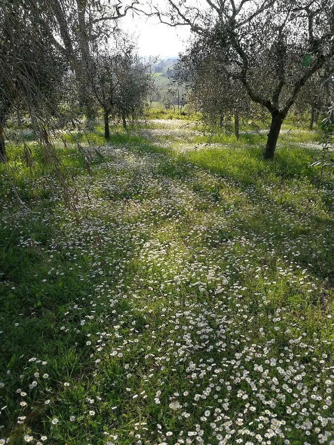 Agriturismo I Roseti Montepulciano Stazione Itálie