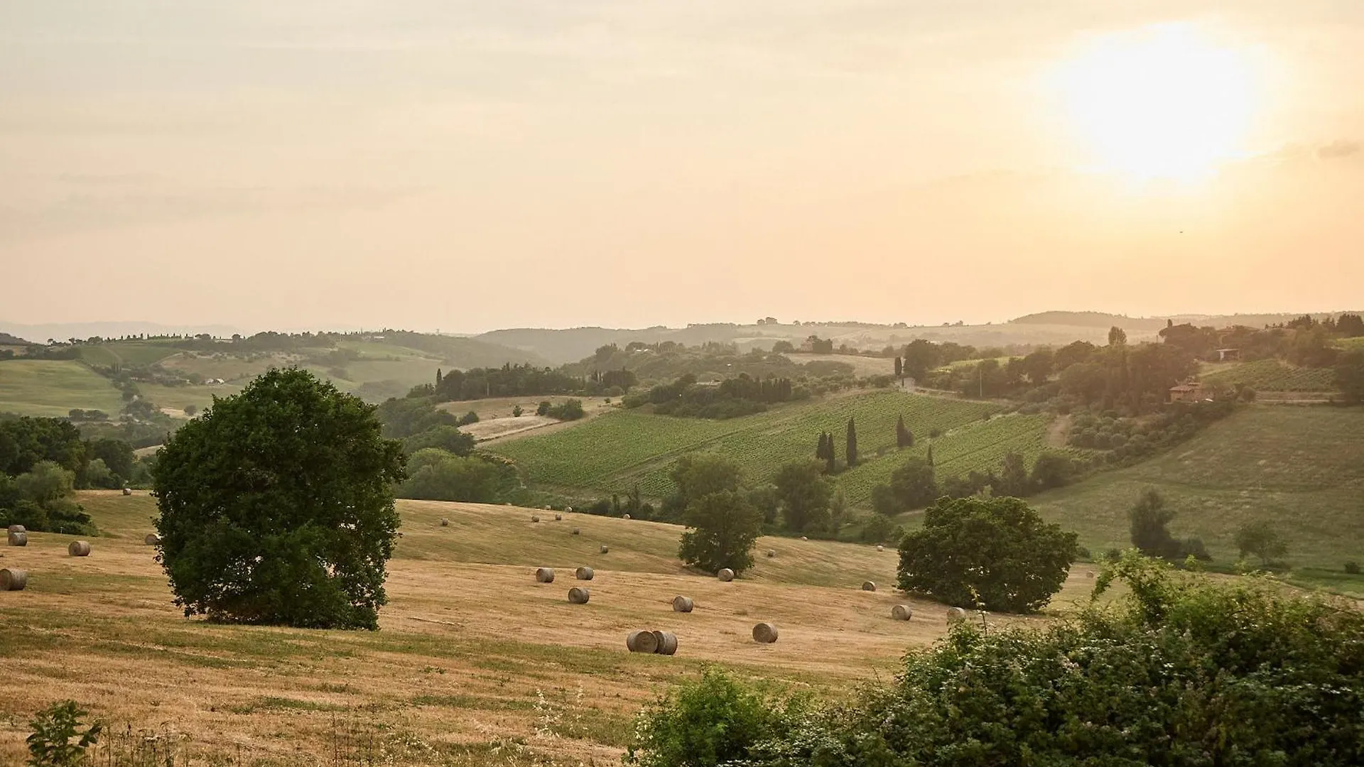 Agriturismo I Roseti Montepulciano Stazione イタリア
